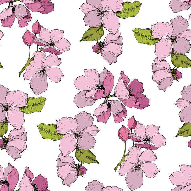 Vector. Appe blossom flowers. Engraved ink art. Seamless backgro - Vetor, Imagem