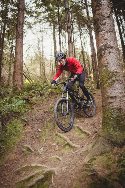 Mountain biker moving down amidst tree in forest - Photo, Image