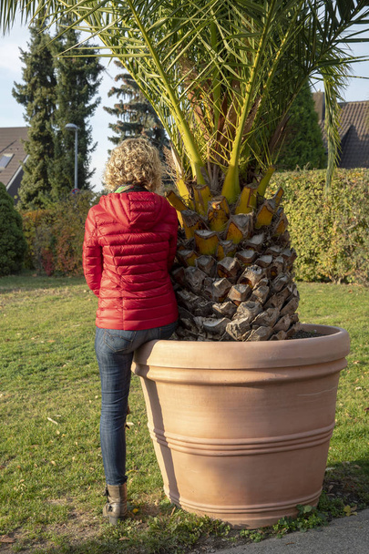 mulher loira em uma jaqueta vermelha por trás sentado em um vaso de flores com uma palmeira
 - Foto, Imagem