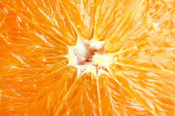 Orange slices - Fotó, kép