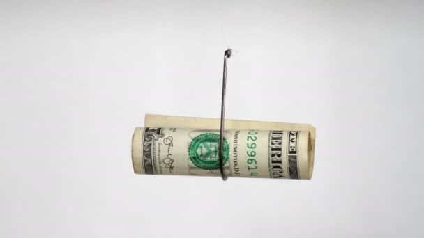 Dollar sur un crochet de pêche isolé sur fond blanc - Séquence, vidéo