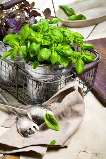 fresh red and green basil plant in a flower pot on rustic table. - Fotografie, Obrázek