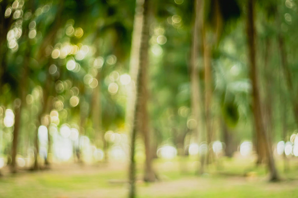 Blur naturaleza bokeh verde parque por playa y cocoteros tropicales en la hora de la puesta del sol. - Foto, imagen