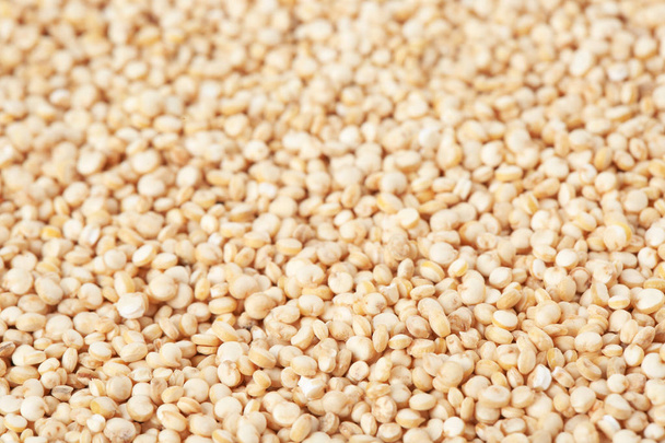 Raw white quinoa seeds as background, closeup - 写真・画像