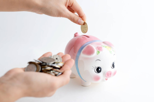 Свинка с монетами - Фото, изображение