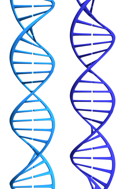 Mavi DNA'lar - Fotoğraf, Görsel