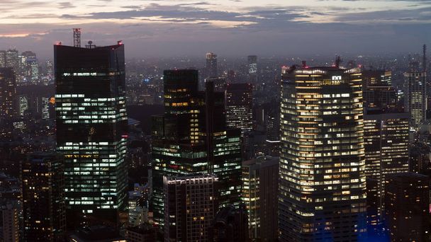 Tokio, Japonia - sierpień 2018: Tokio skyline podczas zachodu słońca widziany z wieży Tokyo, Japonia - Zdjęcie, obraz