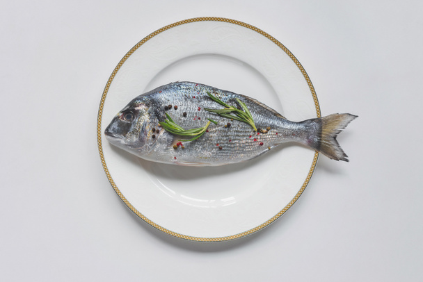top view of uncooked fish with rosemary and pepper on plate  - Photo, Image