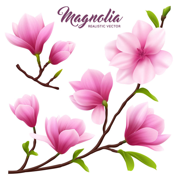 Reális magnólia virág Icon Set - Vektor, kép