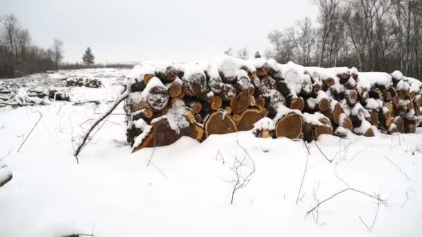 Montón de árboles cortados a lo largo de la carretera en el bosque cubierto de nieve blanca en invierno día soleado
. - Imágenes, Vídeo