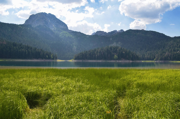 lake in the mountains, green grass, summer - Photo, Image