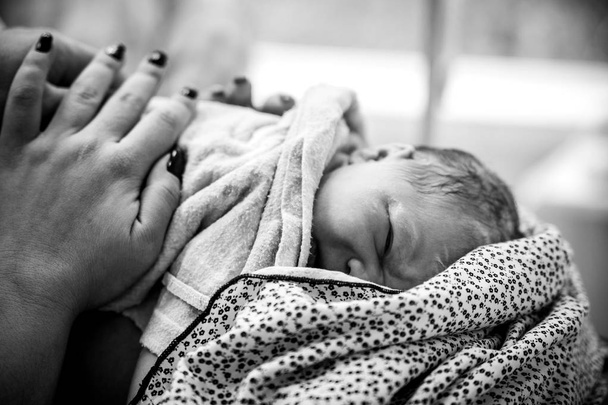 Een pasgeboren baby ligt op de borst van de moeder onmiddellijk na de geboorte. - Foto, afbeelding