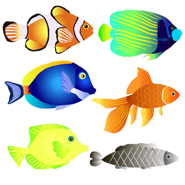 Vector set of fish, colorful aquarium fish. - Vetor, Imagem
