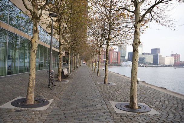 Modern part of Rotterdam, located on the south bank of the New Meuse river  - 写真・画像