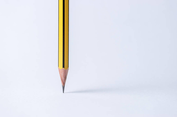 Wooden pencil stands on white paper background. Minimal school concept. - Foto, immagini