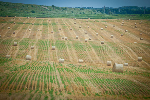 Gedraaide hooiberg op landbouw veld landschap. - Foto, afbeelding