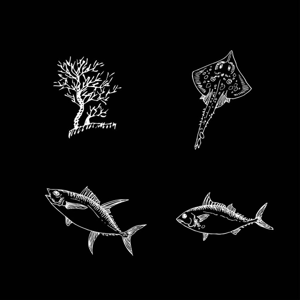 Sea food sketch / Hand drawn food ingredients - vector - ベクター画像