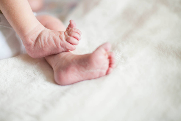 Newborn baby's tiny legs - Foto, Imagen