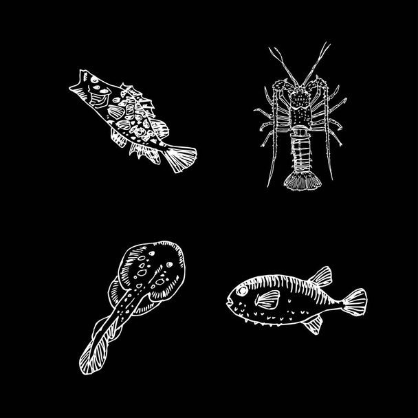 Sea food sketch / Hand drawn food ingredients - vector - Διάνυσμα, εικόνα