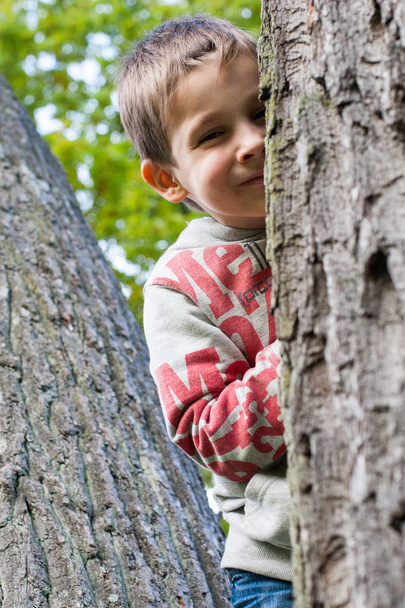 A little boy climbing a tree in the park - Fotografie, Obrázek