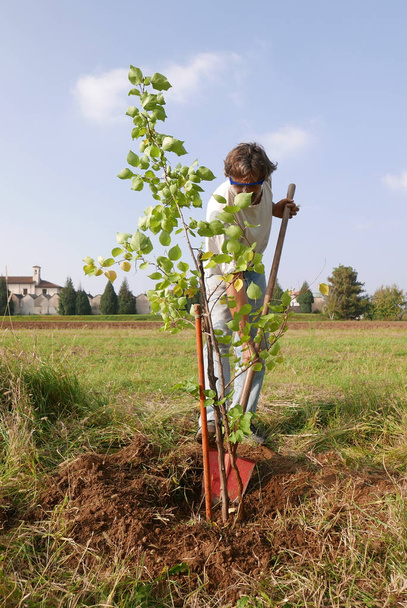 uomo che lavora nel giardino piantare un albero di albicocche
 - Foto, immagini