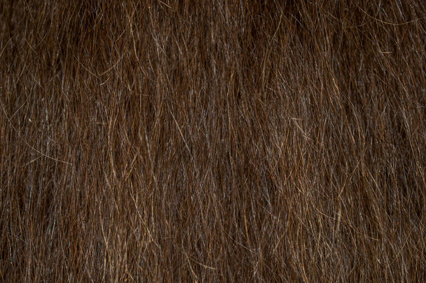 Kadın kalın kahverengi saç kırılgan kuru tasarım arka planı için - Fotoğraf, Görsel