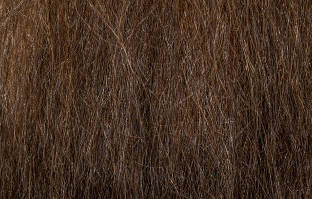 Female thick brown hair brittle dry for design background - Photo, Image