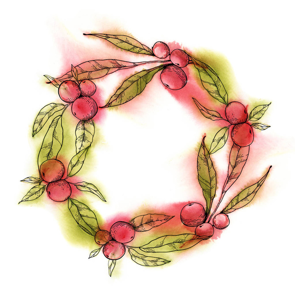 Watercolor and pen illustration. Red berry with green leaves painting as watercolor splash and have some line pen contour. Wreath of hand drawing plant for wallpaper, fabric and cards - Fotoğraf, Görsel