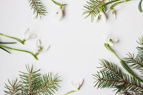 Diseño creativo hecho con flores de caida de nieve y ramas de abeto sobre fondo blanco limpio. Concepto mínimo primavera
. - Foto, Imagen