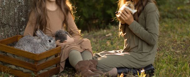 two girls are sitting under a tree on the grass and petting little rabbits, holding a large gray rabbit in a box nearby. Pastel tones of beige and green.autumn or spring - Fotografie, Obrázek