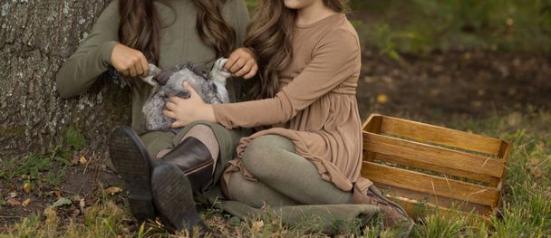 two girls sit under a tree on the grass and stroke a gray rabbit. pastel tones of beige and green. autumn or spring - Photo, Image