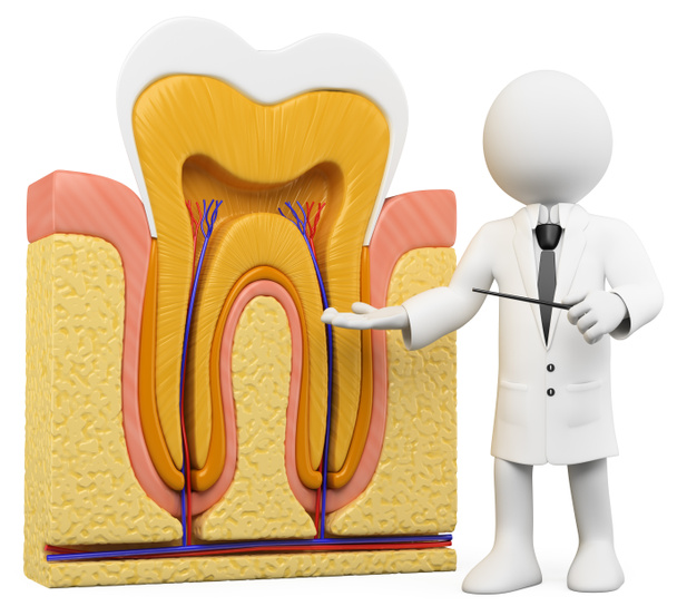 3D beyaz. diş hekimi ve diş bölümü - Fotoğraf, Görsel
