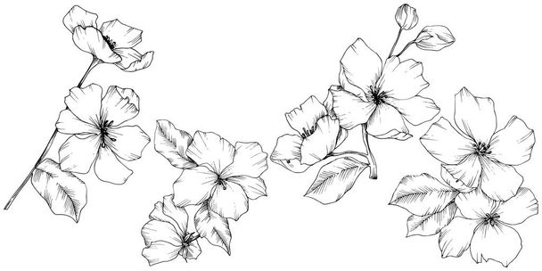 ベクトル。Appe の花の花。野生のばねの葉。孤立したアップル b - ベクター画像