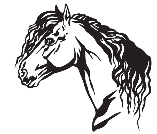 Ritratto decorativo a profilo di bellissimo cavallo frisone con criniera lunga, illustrazione vettoriale isolata in colore nero su sfondo bianco. Immagine per disegno e tatuaggio
.  - Vettoriali, immagini