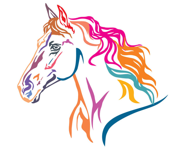 Colorato ritratto decorativo a profilo di bellissimo cavallo da corsa con criniera lunga, illustrazione vettoriale in diversi colori isolati su sfondo bianco. Immagine per disegno e tatuaggio
.  - Vettoriali, immagini