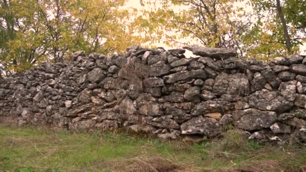 Platteland oude stenen muur in bos. Herfst kleuren. - Video