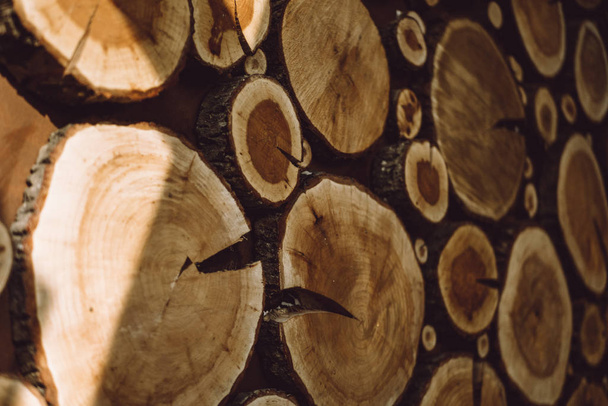 A lot of cutted logs in interior. Close-up photo - Foto, Imagem