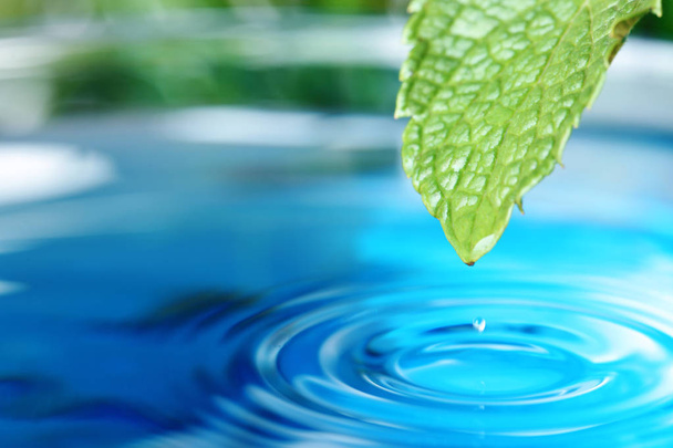 Krásný zelený list s kapkou vody na modrém pozadí, closeup. Prostor pro text - Fotografie, Obrázek
