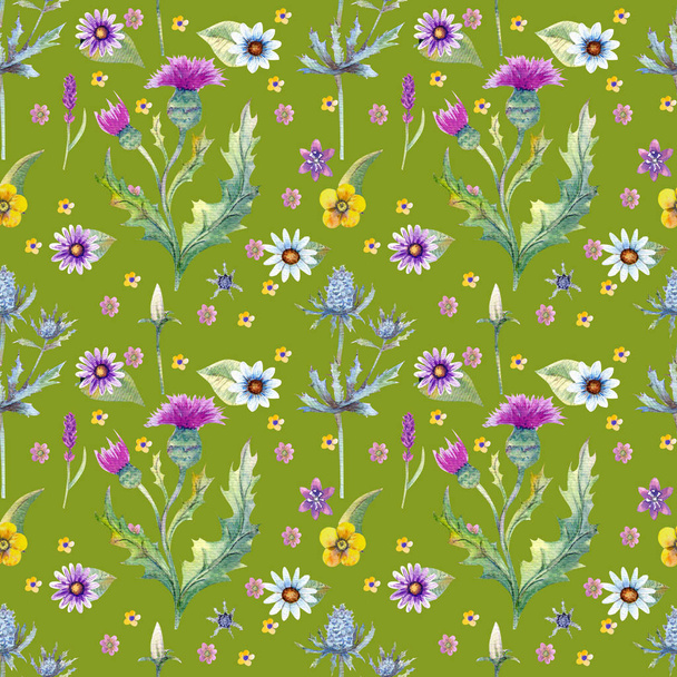 Wild flowers background. Seamless pattern. Wild flowers background Watercolor. - Photo, Image