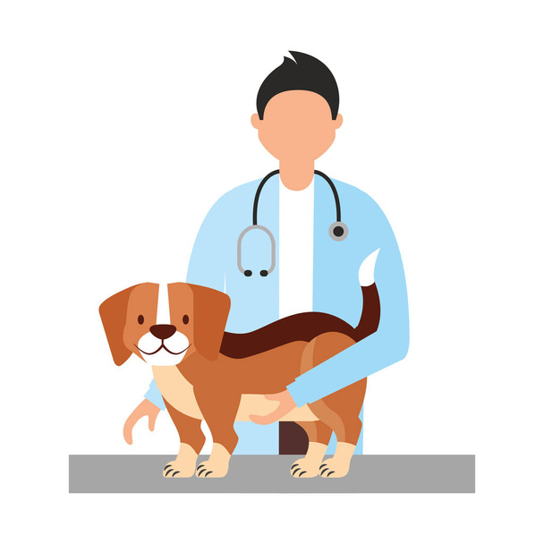 doctor beagle dog veterinary clinic petcare vector illustration - Vector, Image