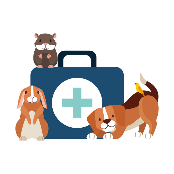chien hamster et lapin et kit médecine vétérinaire clinique animalière illustration vectorielle
 - Vecteur, image