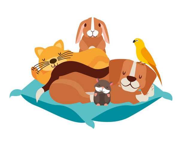 Hund Katze Hamster Kaninchen und Vogel auf Polsterbett Vektor Illustration - Vektor, Bild