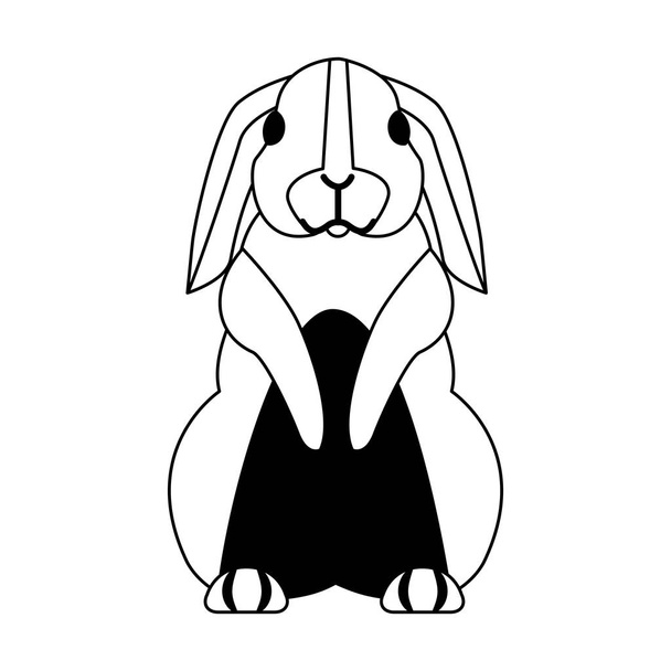 söpö kani valkoisella taustalla - Vektori, kuva