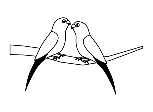 iki papağan kuş dalı - Vektör, Görsel