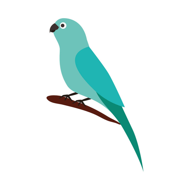 canary bird on branch - Vector, Image