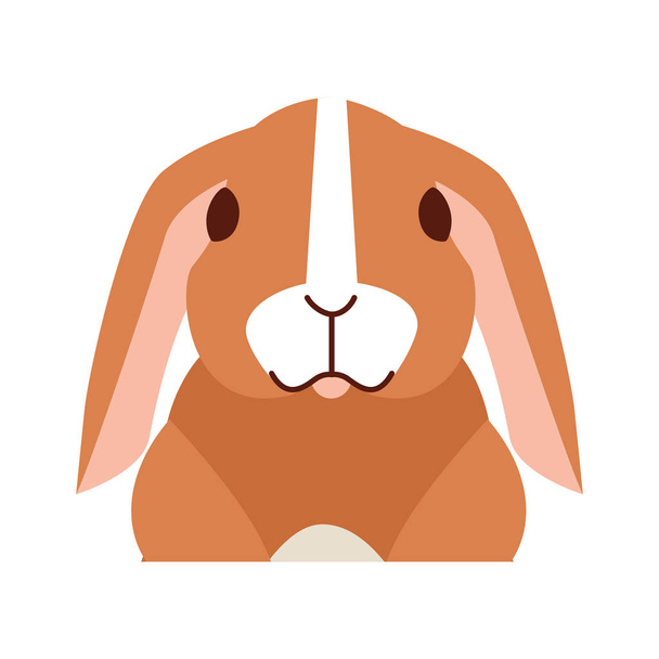 niedliches Kaninchen auf weißem Hintergrund - Vektor, Bild
