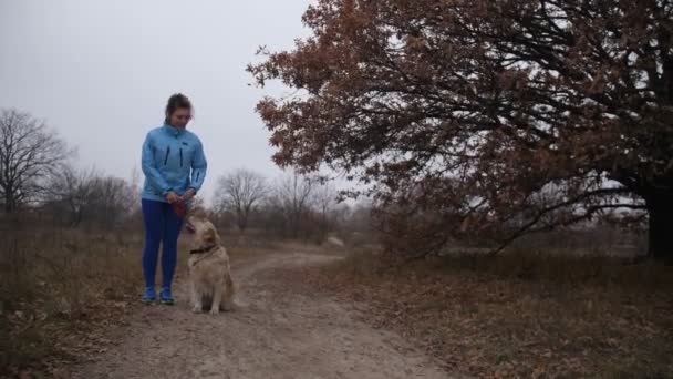 Pretty fitness woman and dog jooging in fresh air - Footage, Video