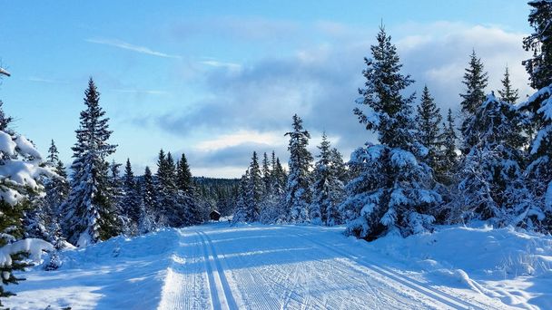 冬の風景。地面は雪で覆われて。ヘードマルク県郡ノルウェーの冬のワンダーランド  - 写真・画像