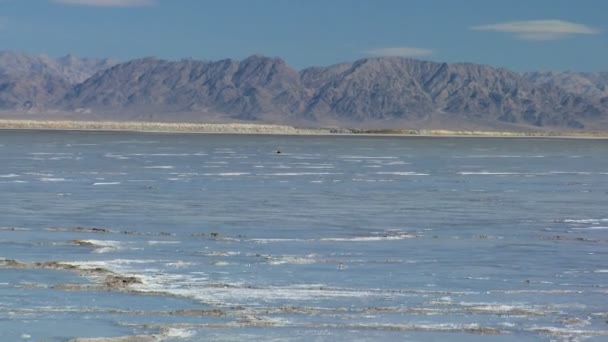 塩湖の干潟の不毛の景観 - 映像、動画