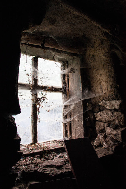 old window in the web - Photo, Image